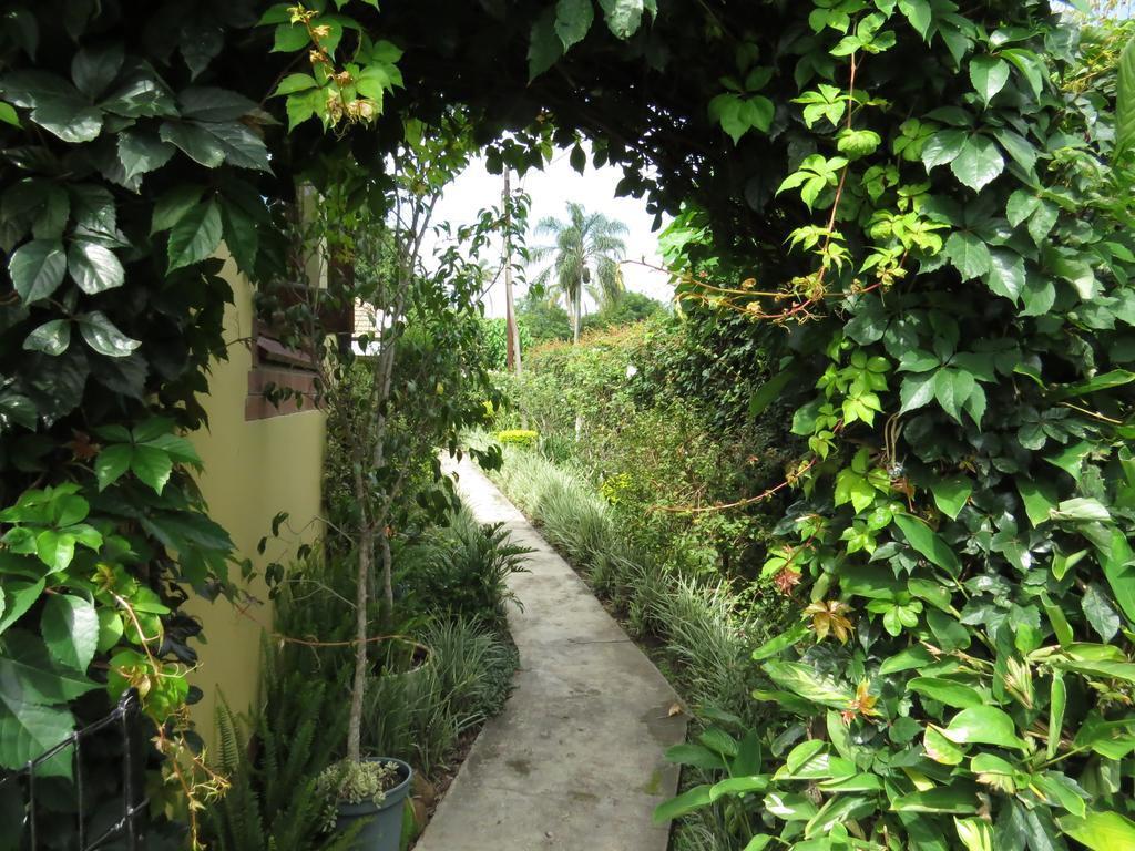 Jean-Lee Bed And Breakfast Pietermaritzburg Bagian luar foto