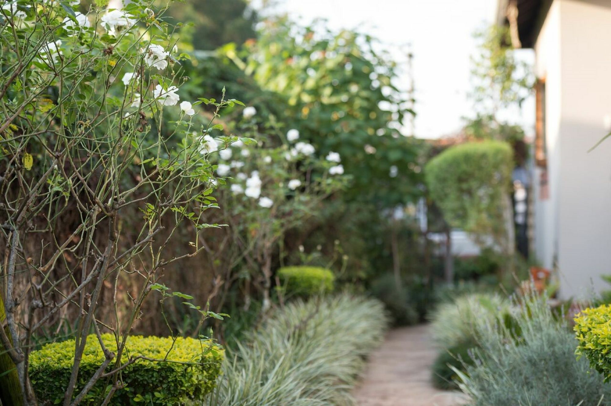 Jean-Lee Bed And Breakfast Pietermaritzburg Bagian luar foto